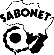 Image result for Psydrax mutimushii