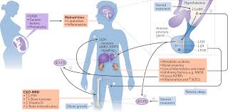 clinical practice recommendations for growth hormone