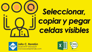 Los diseños son de corazones, la palabra amor, love y otras frases relacionadas, ositos con corazones, diseños de flores y rosas además de otros símbolos interesantes. Seleccionar Copiar Y Pegar Celdas Visibles Excel Aprende Youtube