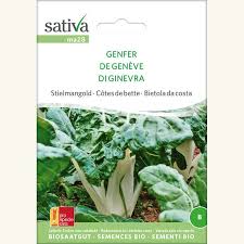 Mangold und die vorgenannten pflanzen sollten erst nach fünf jahren auf demselben platz wieder ausgesät werden, besonders wichtig, wenn eine. Krautstiel Stielmangold Genfer Samen Online Kaufen Saemereien Ch