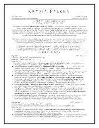 top resume samples executive format