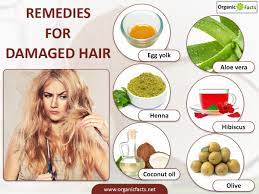 Home Remedies For Damaged Hair Include A Healthy Nutritious Diet Drinking Adequate Amount Of Water Using Oils Damaged Hair Damaged Hair Diy Homemade Hair Oil