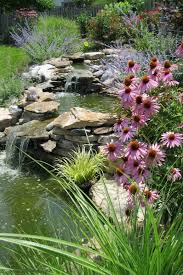 pin op beautiful gardens flowers gardening tips