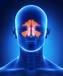 Image result for Sinus Surgery