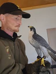 Catching the morning sun ❤