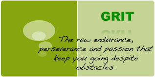 Image result for angela duckworth quote on grit