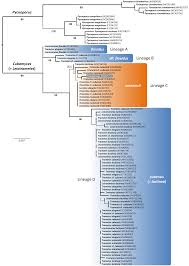 Ini salah satu pertanyaan yang selalu ada pada posisi pertama saat pertanyaan disampaikan. Https Bioone Org Journals Willdenowia Volume 50 Issue 3 Wi 50 50302 Caveats Of Fungal Barcoding A Case Study In Trametes 10 3372 Wi 50 50302 Pdf