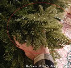 Maybe you would like to learn more about one of these? This Fraser Fir Christmas Tree Isn T What I Expected Between Naps On The Porch