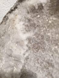 Image result for site:byggahus.se svamp