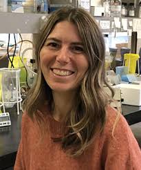 Focused Ultrasound for Gene and Cell Therapy Workshop Participants