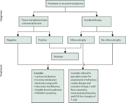 Coeliac Disease The Lancet