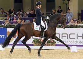 How to ride exercises with trot and canter cavaletti on a 20 m circle. Germany S Ingrid Klimke Franziskus Win Wiesbaden Cdi4 Grand Prix On Personal Best Score Dressage News