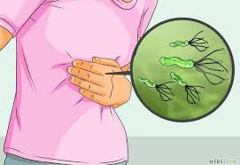 Pylori has been classified as carcinogenic to humans. C Sanatate Si Fericire Cu Produse Naturiste Green World Facebook