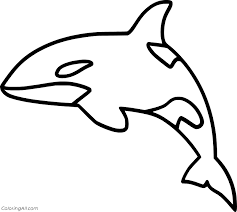 Coloring pages killer whale coloring pages printable orca whale. Killer Whale Coloring Pages Coloringall