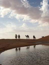 ما قصة انتشار صورة قطيع من الإبل بصحراء السعودية selena gomez photos rub al khali unicorn art