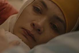 Best international feature film predictions. In Profile The 93 International Feature Oscar 2021 Contenders News Screen