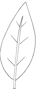 9 anime coloriage d 039 arbre images dessin feuille mon petit poney halloween