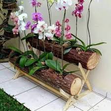 Ok, the second idea could be cool if it's a series of junji ito styled horror stuff. Idea Kreatif Untuk Menanam Orkid Smart Keyler Malaysia Facebook