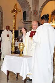Résultats de recherche d'images pour « saint martin marigot guadeloupe église »