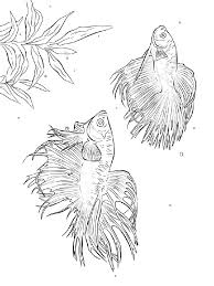 Home / animals / betta fish. Betta Fish Coloring Pages Download And Print Betta Fish Coloring Pages