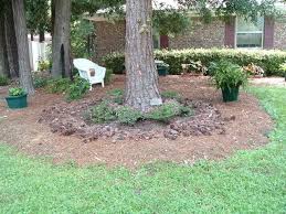 Check spelling or type a new query. Pin By Barb Tarbell On For The Home Outside Backyard Trees Landscaping Under Trees Landscape Under Pine Trees