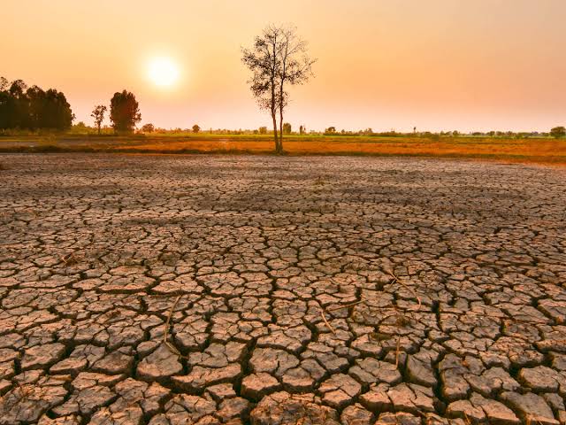 Süper El Nino tahminleri alt üst etti