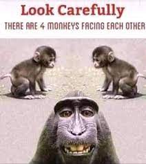 You have to let go to move forward. Guess The 4th Monkey Monkeys Funny Cute Funny Quotes Funny Quotes For Kids