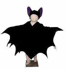 Für sie ist diese zeit eine wunderschöne gelegenheit ihre fantasie und kreativität zu entfalten und mal als die eine oder andere fantastische figur aufzutreten. Fledermaus Kostum Umhang Babys Kinder Erwachsene Karneval Halloween Ebay