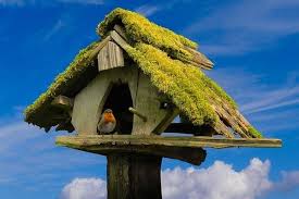 Der schüler nennt ein wort, (neu) 7. Vogelhaus Nicht Angenommen