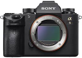 Sony Mirrorless Camera Guide Sonyalphalab