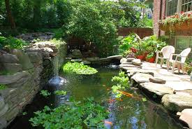 The final design resulted in a pond approximately 13ft long x 6ft wide and 3ft 6 deep which would stand 3ft out of ground and which we calculated to be around 1700 gallons. Koi Pond Design Maintenance Landscaping Network