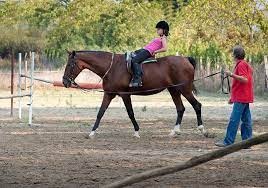 Care, custody & control (ccc) protects you if horses owned by others are injured or. Horse Instruction Coaching
