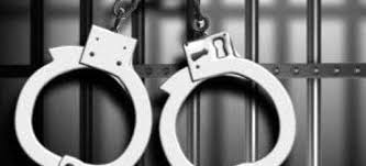 Brazil Police Arrest Bitcoin King For 300 Million Fraud Finance Magnates