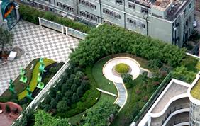 Shanghai Builds Rooftop Gardens to Cool down Buildings -- china.org.cn