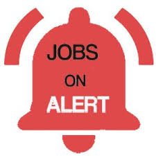 Get Free Job Notification Updates In 2020 Job Portal Job Government Jobs