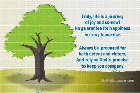 30 Lovely Poems On Life Everyone Should Read Poems About Life Best Short Poems Life