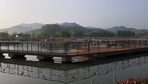 pin by l sj on 2020 my village life 東錢湖陶公村誌