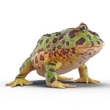 Pacman Frog Rigged 3d Model In 2020 Pacman Frog Frog Pacman