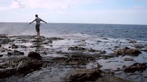 Weirdly meaningful art millions of designs on over 70 high quality products. Mahina S Bing Commercial Youtube