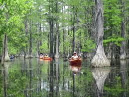 7 Unforgettable Places To Kayak In Georgia Official Georgia Tourism Travel Website Explore Georgia Org