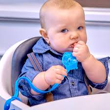 Straw Bottles & Cups Tagged "Utensils"