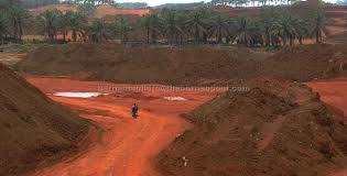 Until recently, bauxite was just a minor part of malaysia's mineral exports industry. Bauxite Mining Has Adverse Impact On Food Chain Says Geologist