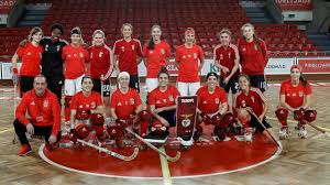 Division i a 10 acc asun am. Equipa Principal De Hoquei Em Patins Informacoes Sl Benfica