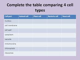 Maybe you would like to learn more about one of these? Part 1 Part 1 H T Exam In Oct 2012 B2 Exam In Jan Ppt Video Online Download