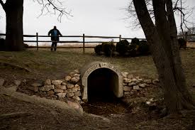 Everything you need to know about barry jenkins' amazon series did you know? Washington S Ties To The Underground Railroad A Look At Where The Enslaved Once Stood Wamu
