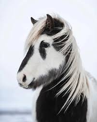 images?q=tbn:ANd9GcQrnbZp5jjvPFtpvGIeu0jrmifWw0EFaQ2zyg&s