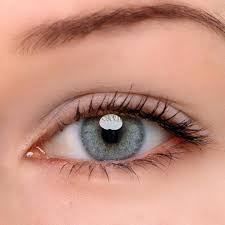 Voioc Ttdeye Eye Circle Lens Euramerican Green Grey Colored Contact Lenses V6044 Contact Lenses Colored Eye Contact Lenses Green Colored Contacts