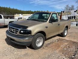 Image result for Chestnut 2000 F150