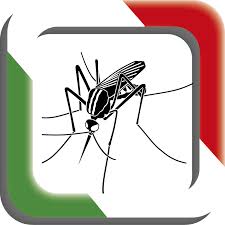 Check spelling or type a new query. Mister Mosquito Home Facebook