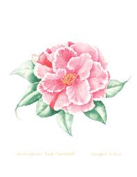 Pin On Wedding Invitation Resources